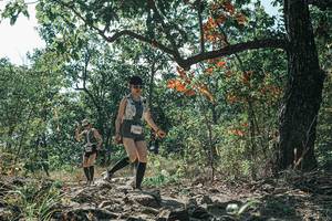 BIB: 
                            <button type="button" onclick="openModal(26116021)" class="btn btn-primary btn-sm float-right btn-popup" data-toggle="modal" data-target=".modal-high-quality">
                        <i class="fas fa-shopping-cart"></i> Add to Cart
                    </button>
                                            <button type="button" onclick="isThisMe(26116021, true)" class="btn btn-success btn-sm float-right btn-popup btn-isme hidden" data-toggle="tooltip" data-placement="bottom" title="นี่คือรูปของคุณใช่ไหม คลิกที่นี่เพื่อเอาเข้าอัลบั้ม">
                        <i class="fas fa-plus"></i> Add to album
                    </button>
                    <button type="button" onclick="isThisMe(26116021, false)" class="btn btn-warning btn-sm float-right btn-popup btn-isnotme hidden">
                        <i class="fas fa-ban"></i> Remove from album
                    </button>